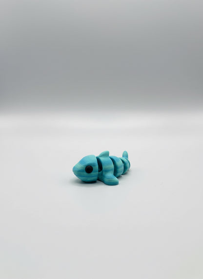 Little Shark