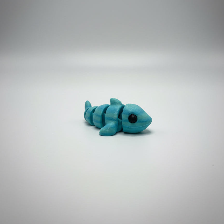 Little Shark