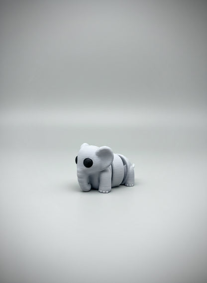 Baby Elephant