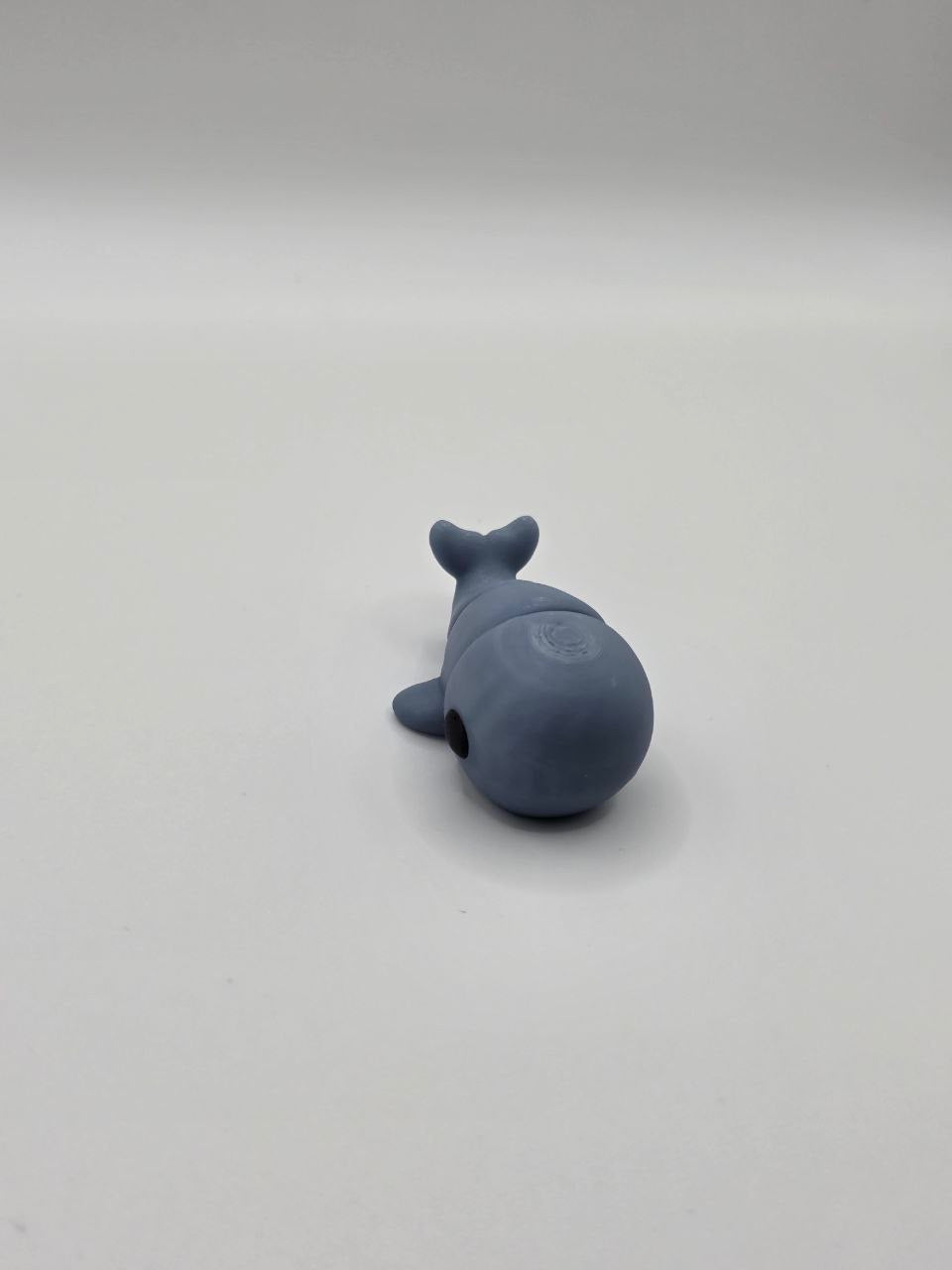Tiny Whale