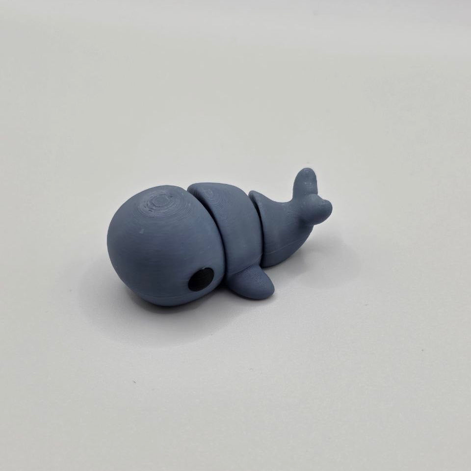 Tiny Whale