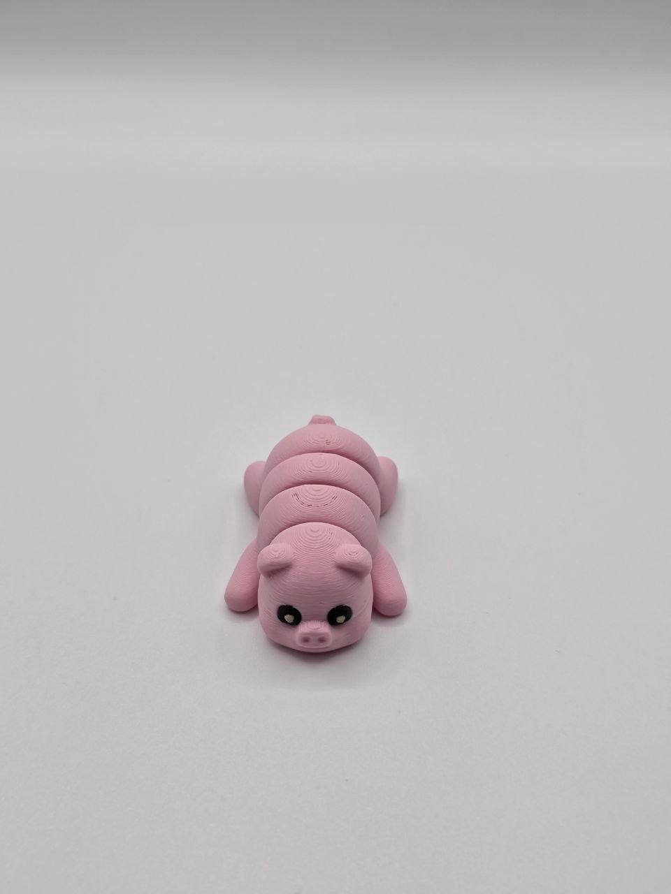 Mini Pig